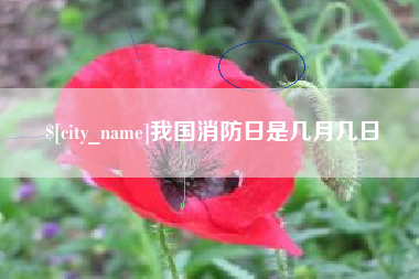 如皋我国消防日是几月几日