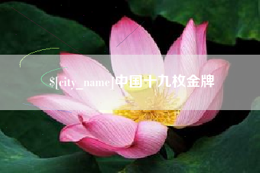 如皋中国十九枚金牌