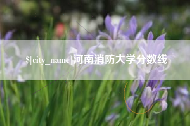 如皋河南消防大学分数线