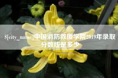 如皋中国消防救援学院2019年录取分数线是多少