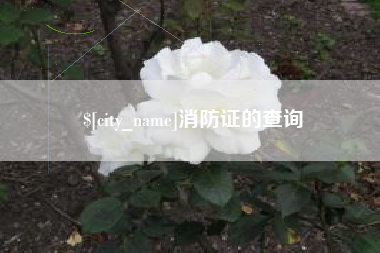 如皋消防证的查询