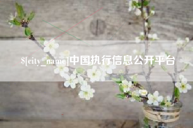 如皋中国执行信息公开平台