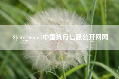 如皋中国执行信息公开网网