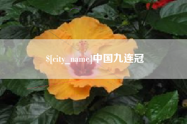 如皋中国九连冠