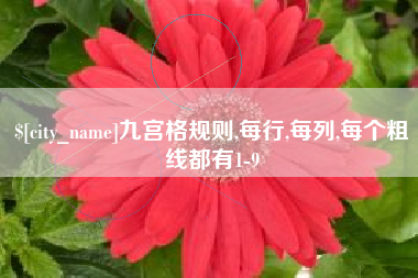如皋九宫格规则,每行,每列,每个粗线都有1-9