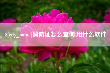 如皋消防证怎么查询,用什么软件