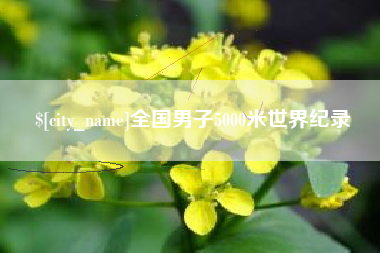 如皋全国男子5000米世界纪录