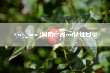 如皋消防产品cccf认证目录