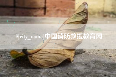 如皋中国消防救援教育网
