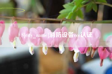 如皋消防设备ccc认证