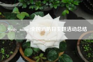 如皋全国消防日主题活动总结