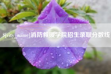 如皋消防救援学院招生录取分数线