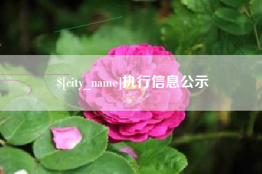 如皋执行信息公示