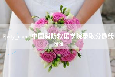 如皋中国消防救援学院录取分数线2020