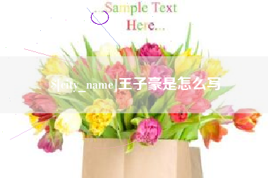 如皋王子豪是怎么写