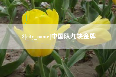 如皋中国队九块金牌