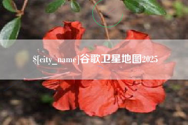 如皋谷歌卫星地图2025