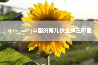 如皋中国的第九枚金牌在哪里