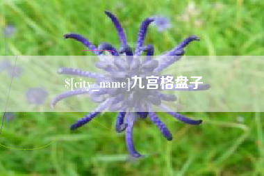 如皋九宫格盘子