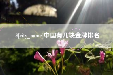 如皋中国有几块金牌排名