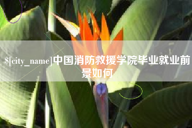 如皋中国消防救援学院毕业就业前景如何