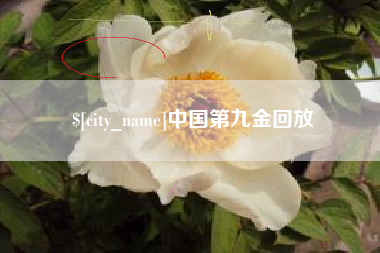 如皋中国第九金回放