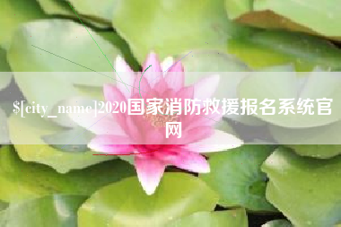 如皋2020国家消防救援报名系统官网