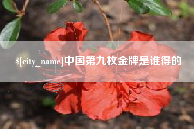 如皋中国第九枚金牌是谁得的