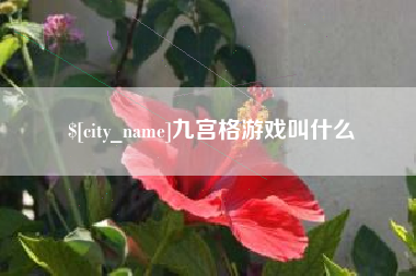 如皋九宫格游戏叫什么