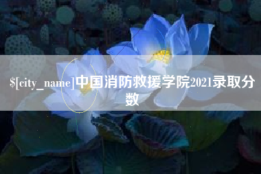 如皋中国消防救援学院2021录取分数