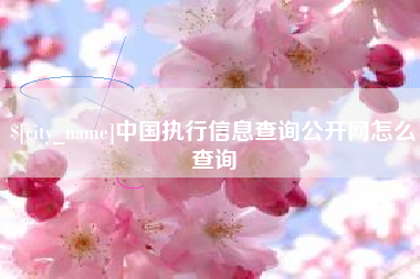 如皋中国执行信息查询公开网怎么查询