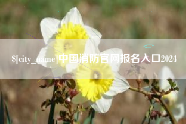 如皋中国消防官网报名入口2024
