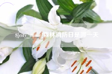 如皋森林消防日是哪一天