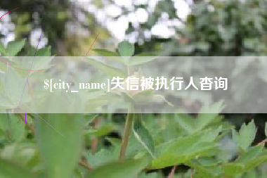 如皋失信被执行人杳询