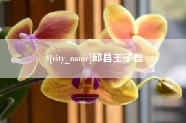 如皋邱县王子磊