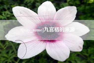 如皋九宫格的来源