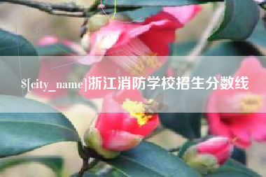 如皋浙江消防学校招生分数线