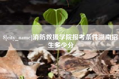 如皋消防救援学院报考条件湖南招生多少分