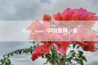 如皋中国金牌18金