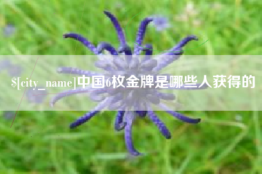 如皋中国6枚金牌是哪些人获得的