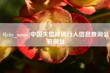 如皋中国失信被执行人信息查询公开网址