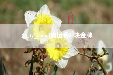 如皋奥运会39块金牌