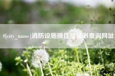 如皋消防设施操作员证书查询网址