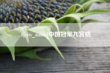 如皋中国冠军九宫格
