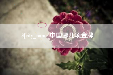 如皋中国哪几项金牌