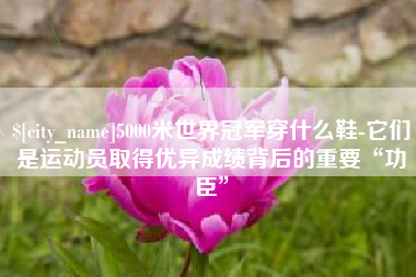 如皋5000米世界冠军穿什么鞋-它们是运动员取得优异成绩背后的重要“功臣”