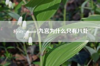 如皋九宫为什么只有八卦