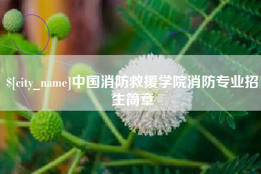 如皋中国消防救援学院消防专业招生简章