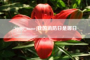 如皋我国消防日是哪日