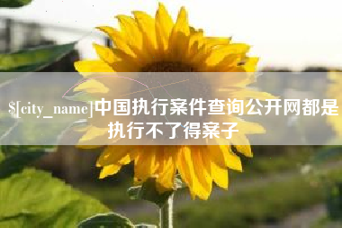 如皋中国执行案件查询公开网都是执行不了得案子